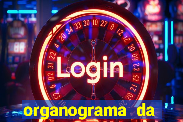 organograma da cacau show